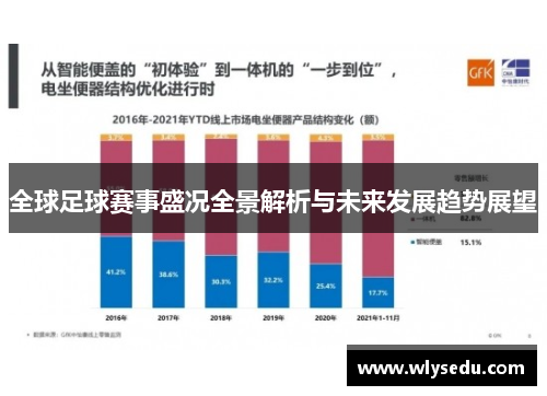 全球足球赛事盛况全景解析与未来发展趋势展望