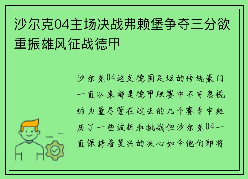 沙尔克04主场决战弗赖堡争夺三分欲重振雄风征战德甲